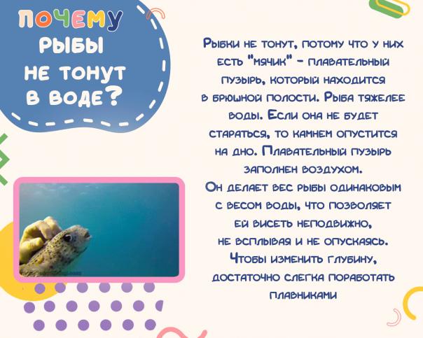 Продолжаем рубрику почемучка Продолжаем рубрику почемучка.